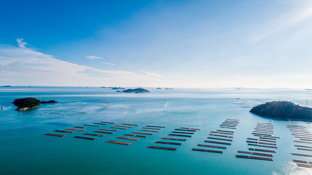 Coastal aquaculture landscape in Haenam
