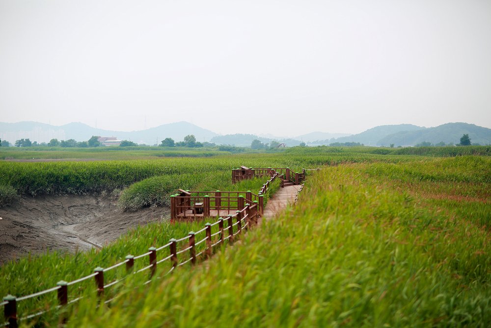 Tidal channel at Siheung Gaetgol Eco Park