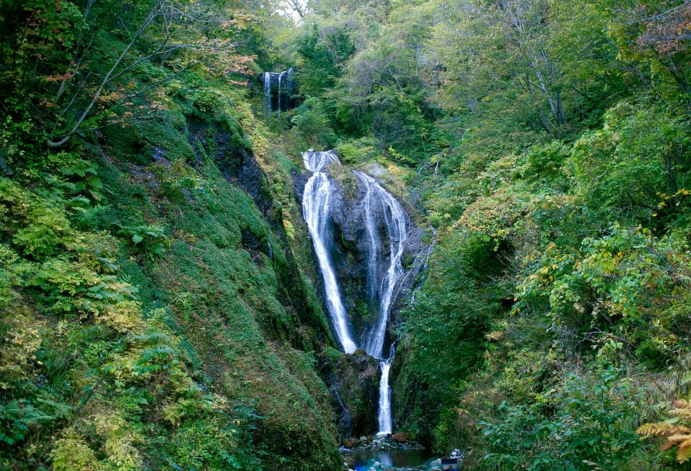 Bongnae Waterfall flowing through a forested valley on Ulleungdo